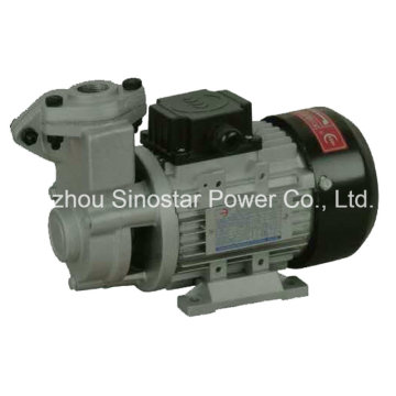 Ts Series High Temperature Fuel Pump for Industry Use